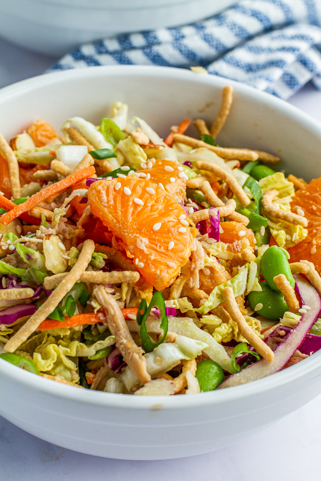 Chinese Chicken Salad with Clementines - LGS Specialties
